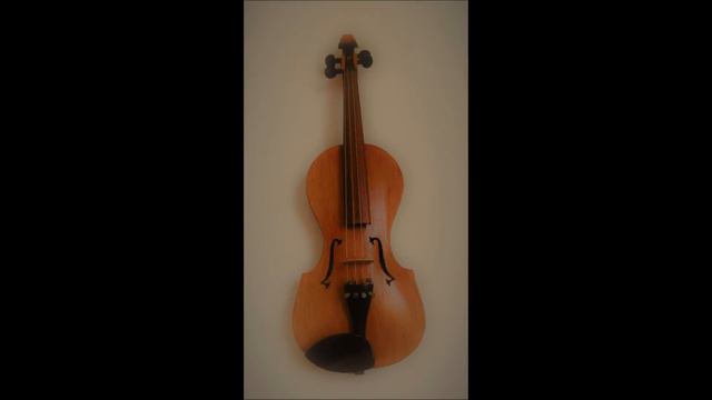 Violin 4/4(Test 341