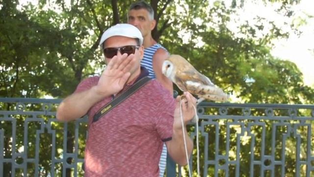 Полицейские искали у Ласточкиного гнезда фотоживодёров