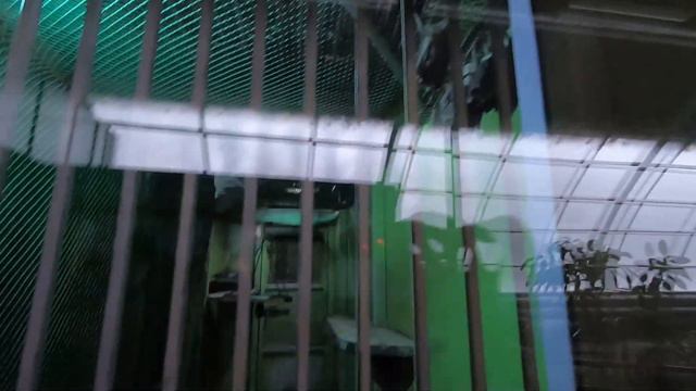 Веселый Зимний Липецкий #Зоопарк.Funny Winter Lipetsk #Zoo. + 0  #ДАРИЮЛЬКА