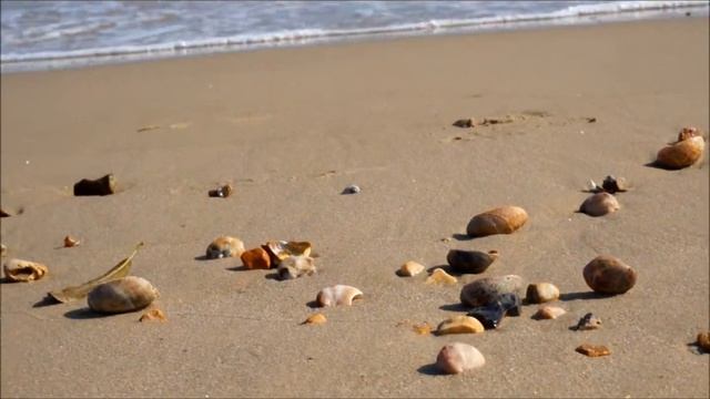 Sony NEX 5T Video Filming Test