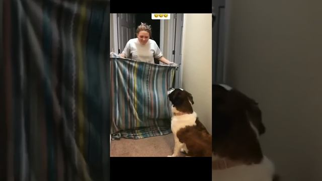 Упс😱🤣🤣🤣