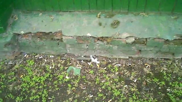 В поисках бычков. Как бросить курить - курить бычки!