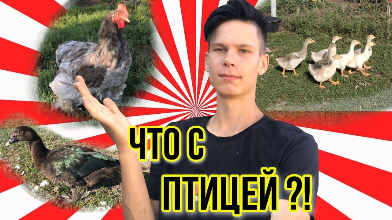 5 ДНЕЙ  НЕ БЫЛ ДОМА  ЧТО С ХОЗЯЙСТВОМ ?