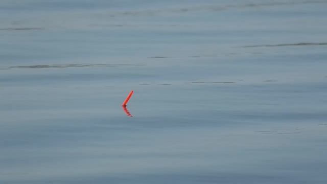 ДИКИЙ ЖОР - КРУПНЯК ГНЁТ УДОЧКИ!!! Рыбалка на поплавок на карася, сазана