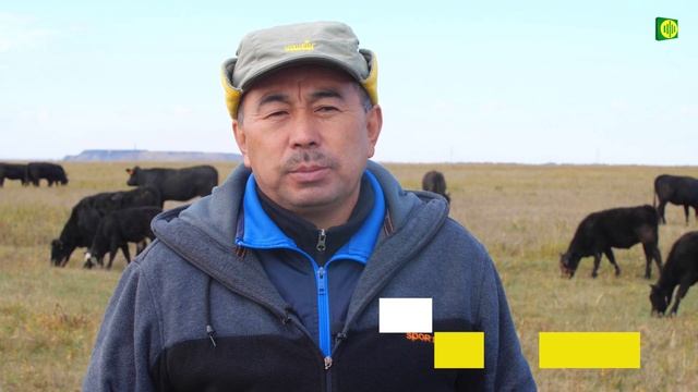 "СЫБАГА" - условия программы (Фонд финансовой поддержки сельского хозяйства)