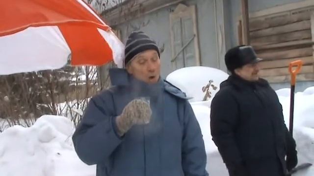 Гуси лебеди 1