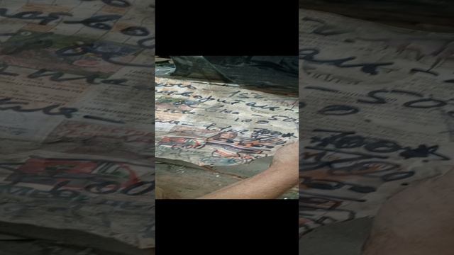 1000012103.mp4