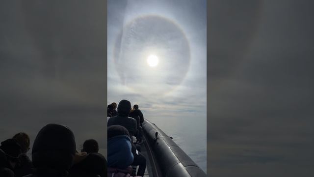 A Sun Halo Over The Ocean   ViralHog