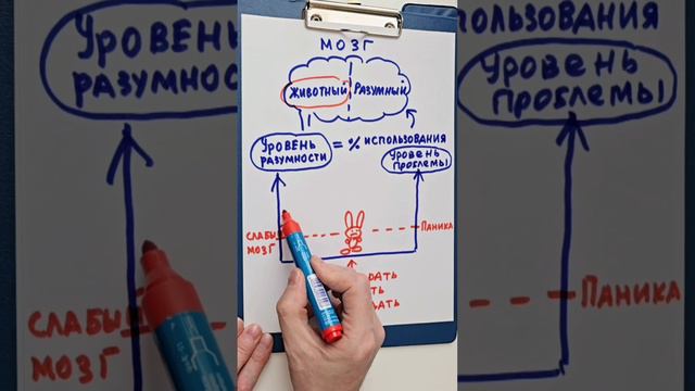 Как быстро определить уровень разумности человека