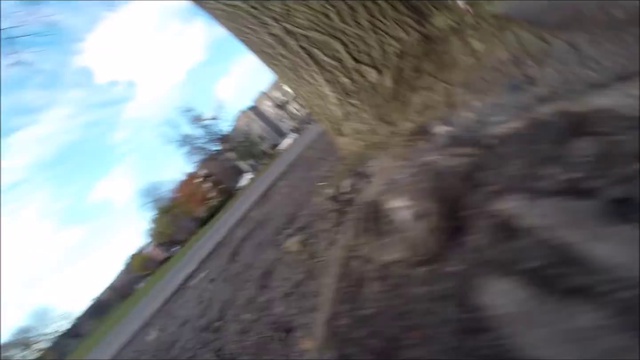 Белка украла камеру GoPro и утащила её на дерево 