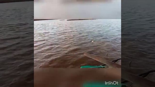 Рыбалка. Осень. Снимаем сети перед ледоставом.