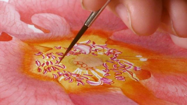Billy Rose Spray Composition - Preview with Billy Showell ⎮Watercolour Beautiful
