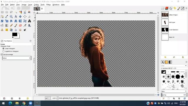 How to add Mask editing photos |GIMP  Tutorial 3 | Amila C Jayakody | Clear Explanation | In Sinhal