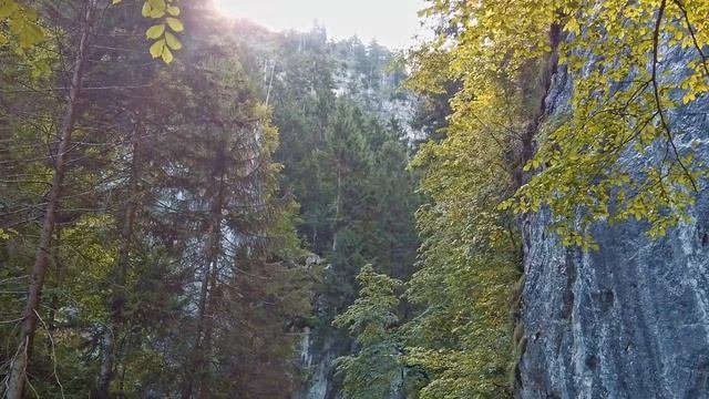 Durch die Pöllatschlucht zum Schloss Neuschwanstein