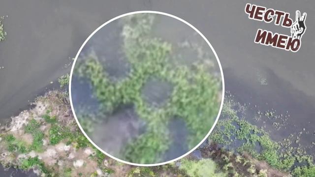Странные приключения всушников на островах реки Днепр в Херсонской области.