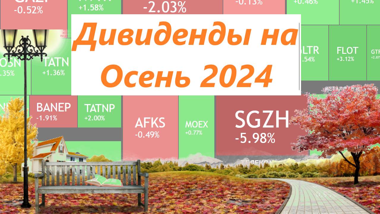 Осенние дивиденды 2024 ► какие компании я буду покупать