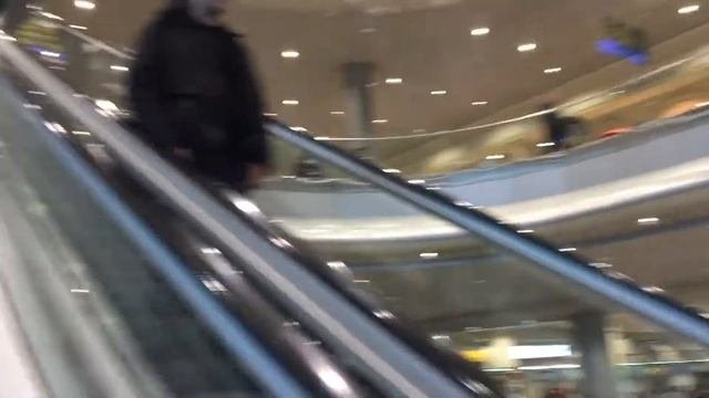 Большой просторный аэропорт Домодедово. 26.11.2016 15:07
