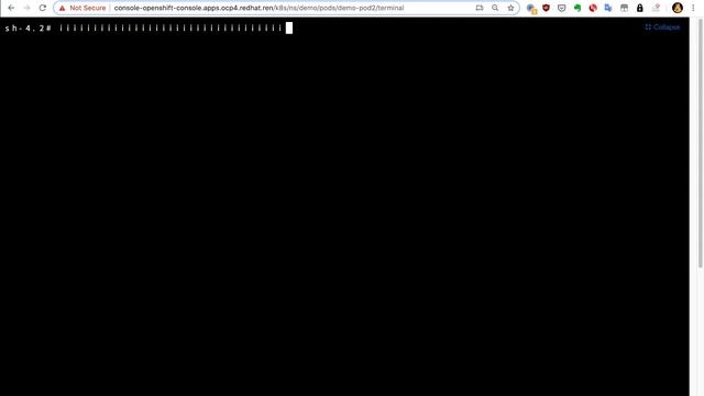 openshift 4.3 calico + multus