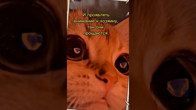 Берегите своих пушистиков #факты #фактыоживотных #удивительныефакты