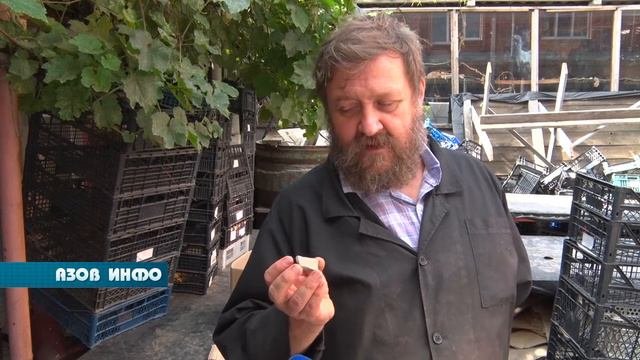 Странные находки археологов