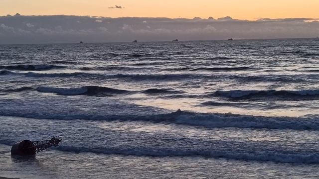 VID_20230320_175847.mp4