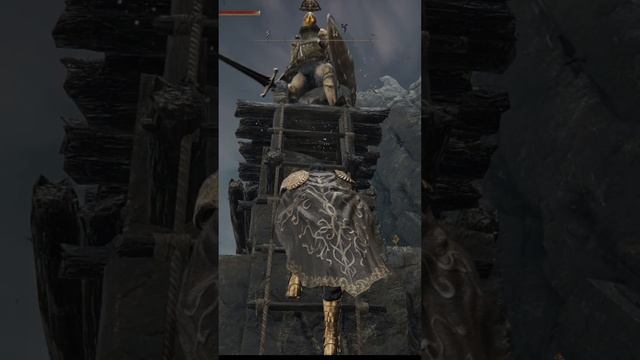 The knight can't reach me on the ladder. Elden Ring