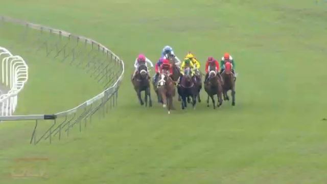 20211017 Hollywoodbets Greyville express clip Race 2 won by VARVACIOUS