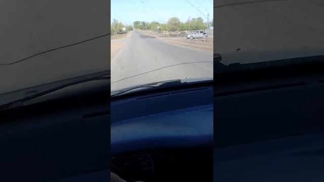 Дурдом в сорочинске