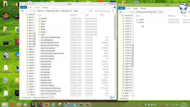 Comment installer un mod sur Skyrim manuellement et proprement