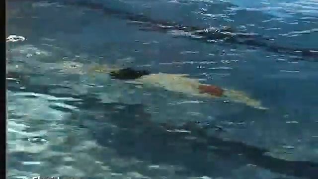 Backstroke lection (Техника Плавания Кролем на Спине)