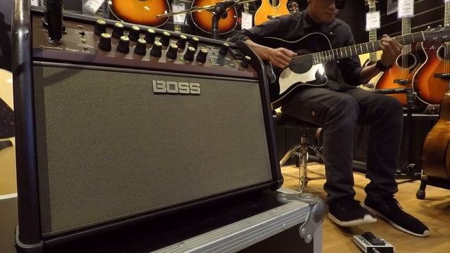 BOSS Acoustic Singer Live 木吉他舞台音箱敦煌樂器