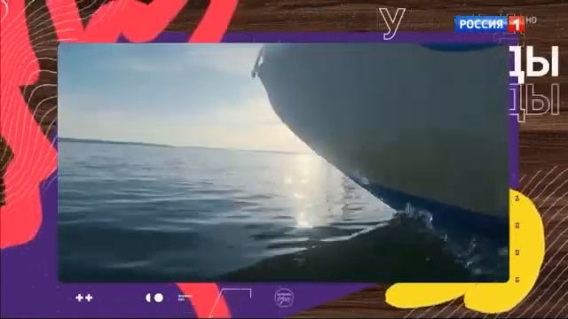 Формула еды 23.09.2023 Картошка