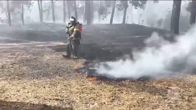 Лесной пожар в Ростовской области — полыхает 30 гектаров в Тарасовском районе. 🔥