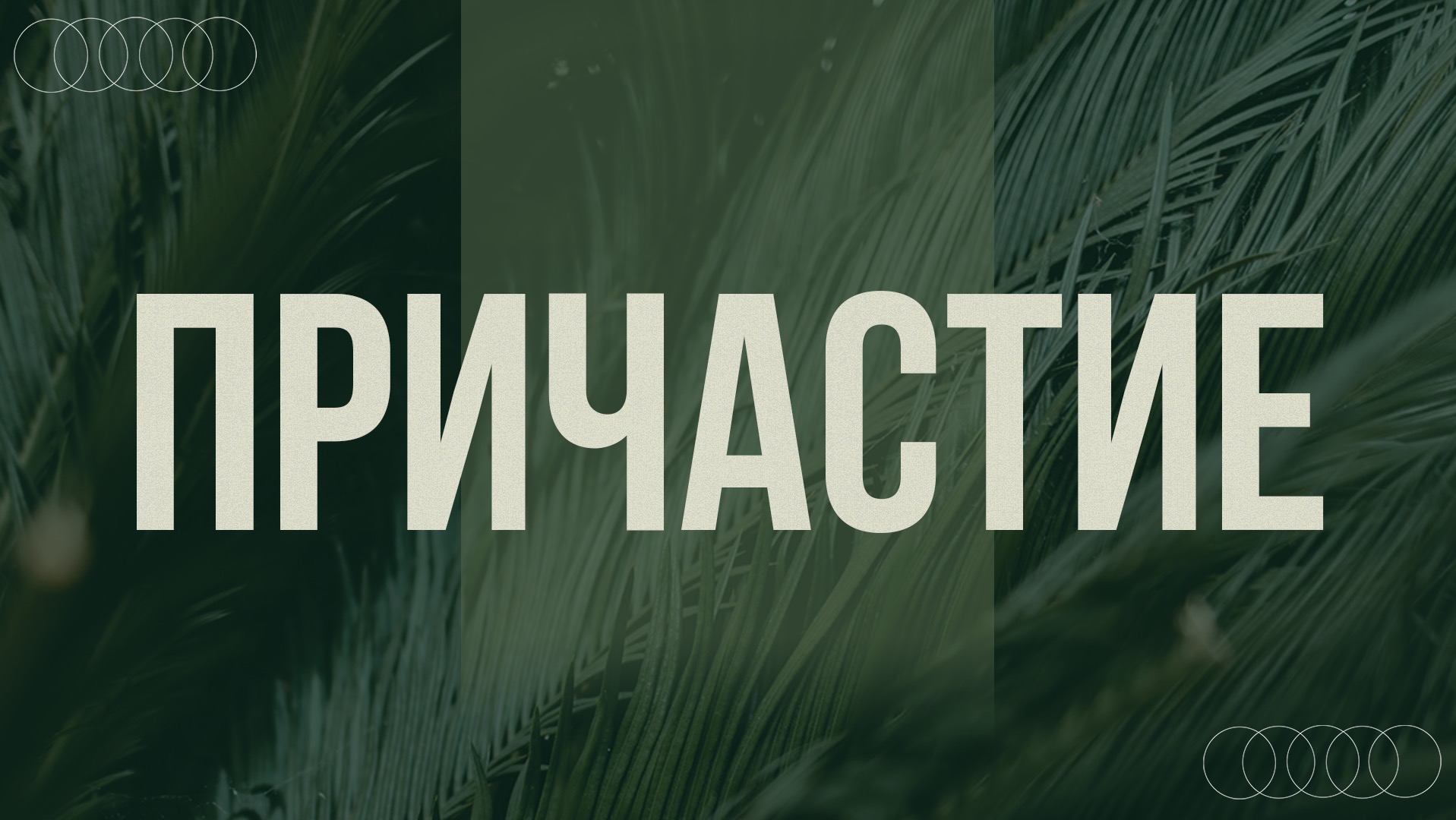 Святое причастие 1 ноября