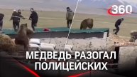 «Кокаиновый медведь» в реальности? Разъяренный зверь разогнал китайских полицейских
