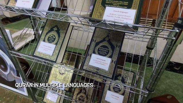 Jumeirah Mosque | Dubai, UAE | Traveller Passport