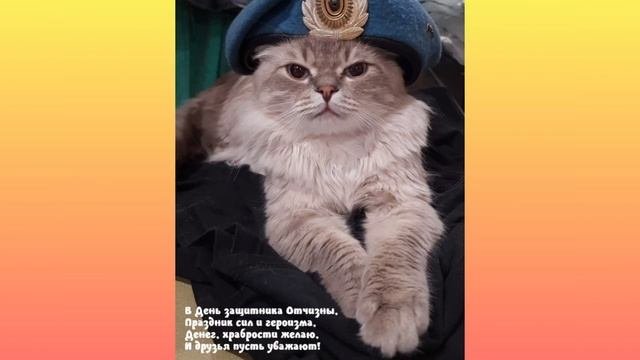 С 23 февраля.С праздником настоящих мужчин.