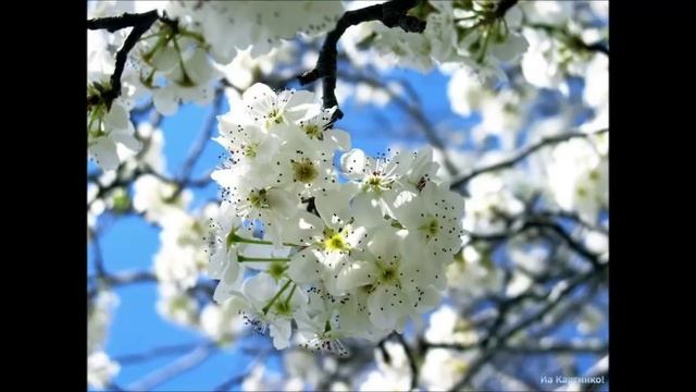 Крайон ПРИКЛЮЧЕНИЯ В ПАТАГОНИИ 2016-- Буква «А» — 2-й ченнелинг