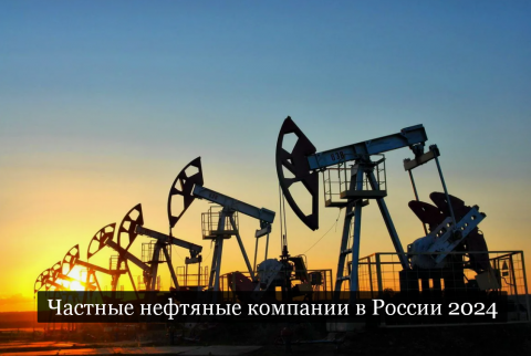 #Аврора #гадание Частные нефтяные компании в России 2024