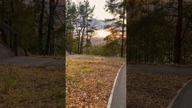 Самые красивые закаты и рассветы в Панораме