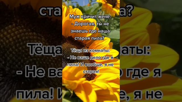 Дорогая, где наша старая пила? #юмор #шутки #афоризмы #цитаты #топ # рекомендации #приколы