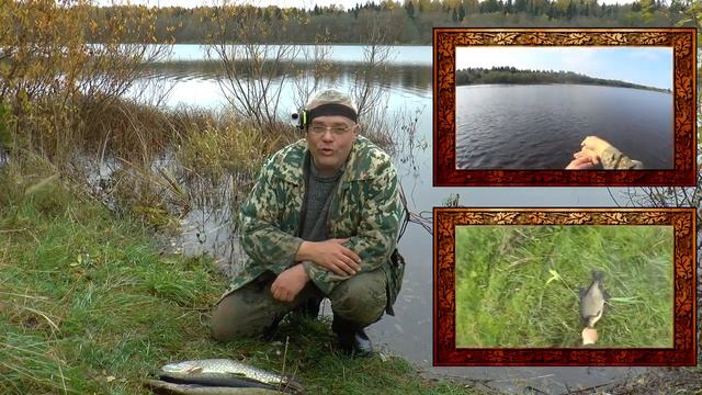 Крутая рыбалка на канале  Чешуя !!!