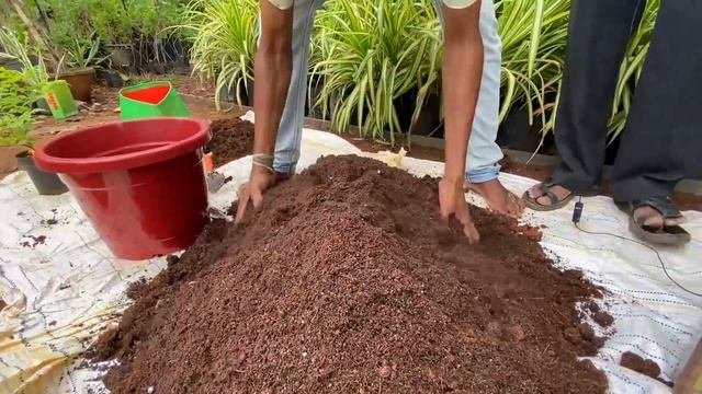 Tips For Preparing Best Soil Mix In Tamil (தரமான மண்கலவை)