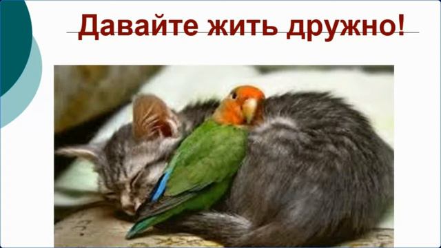 Школьная служба примирения  вчера, сегодня завтра 07.04.2022