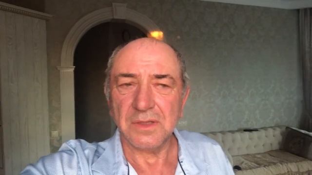 Французские бульдоги не дают скучать