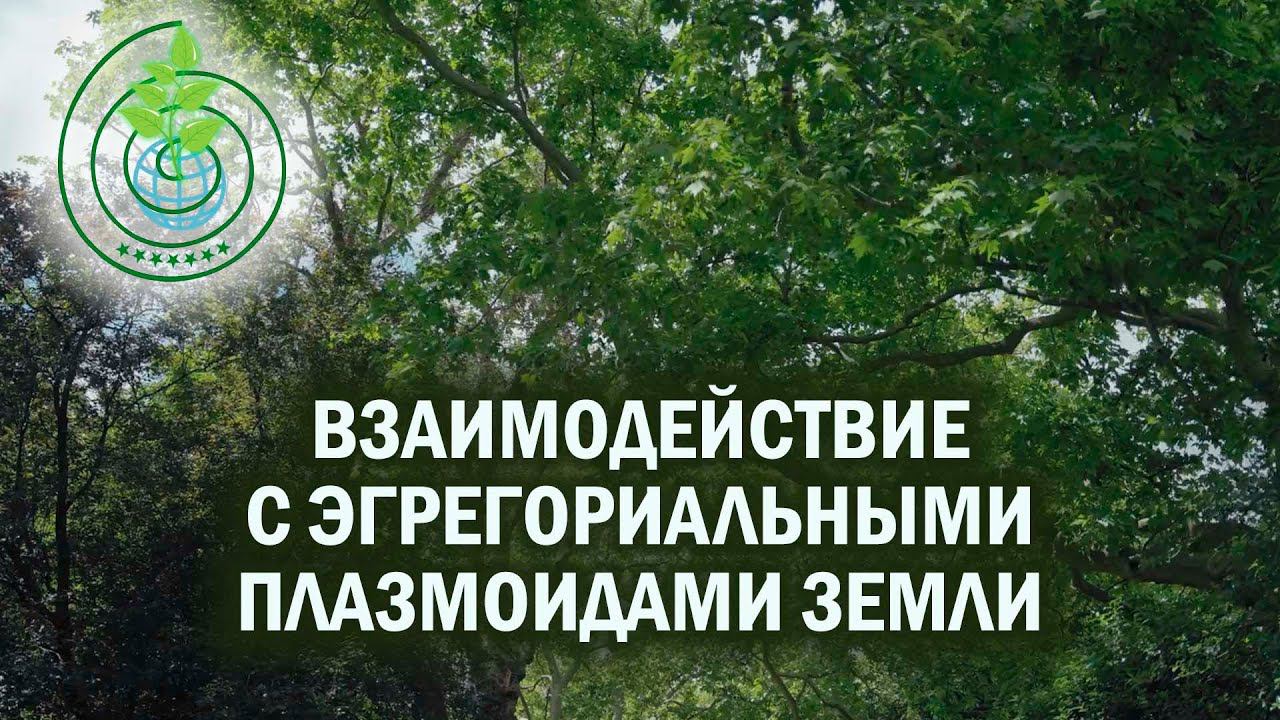 Контактёры-экологи. Взаимодействие с Эгрегориальными Плазмоидами Земли
