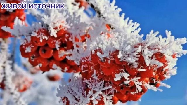 ОБРАЗ ИУДЫ ИСКАРИОТА. Мк.14гл.10ст.