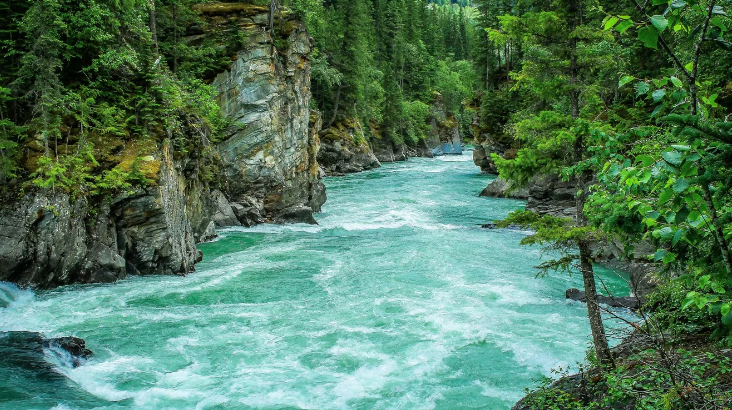 Глубокая Релаксация И Расслабление Со Звуками Природы И Воды ✦ Звуки Леса И Пение Птиц
