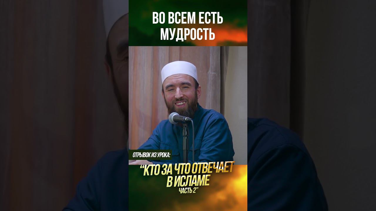 Во всем есть мудрость