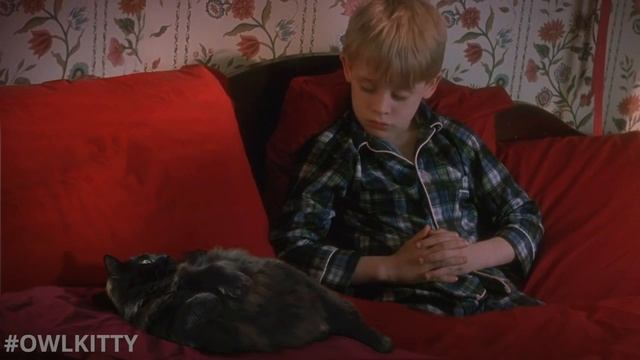 В фильм Один дома добавили кошку. Home Alone with My Cat
